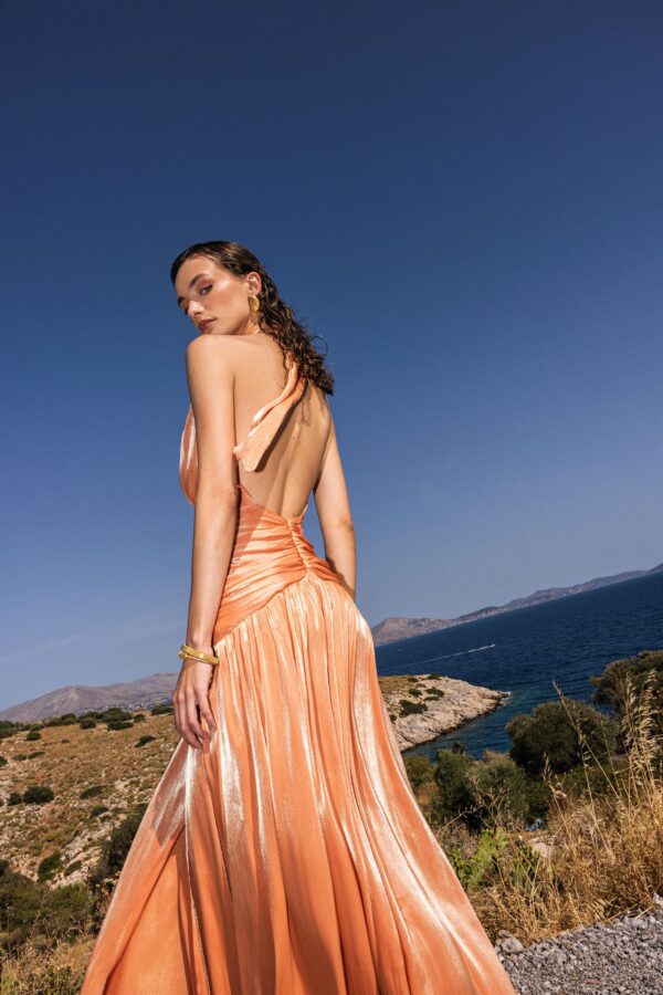 Gaia Peach Dress - Image 4